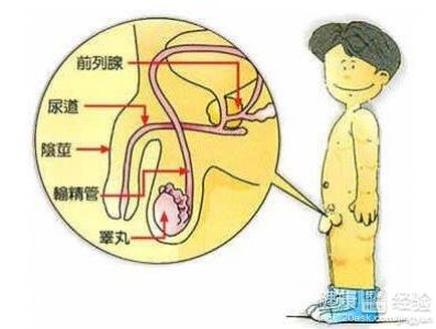 不射精的症状